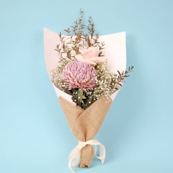 Little Elegant Fantasy - Standard