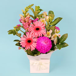 Pinkalicious Bloombox - Standard