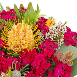 Wondrous Native Wildflower Box - Deluxe