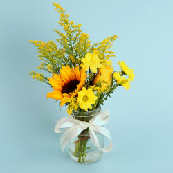 Pocket Full Of Sunshine - Standard