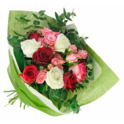 Dance With Me - Standard