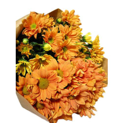 Chrysanthemum Bunch - Deluxe