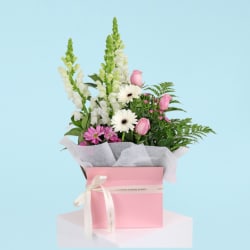 Pastel Passion Bloombox  - Standard