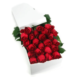 Valentine's 24 Red Rose Box - 24 Roses (Two Dozen)
