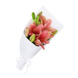 Lily Bunch - Standard