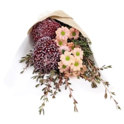 Little Peachy Fantasy - Deluxe