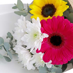 Hello There Bunch - Standard