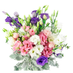 Very Dreamy Lisianthus Glass Vase - Standard