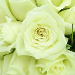 White Rose Bouquet - Premium