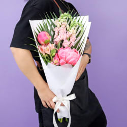 Perky Pink Peonies - Standard