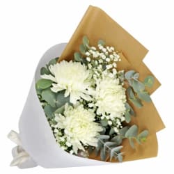 Darling Disbuds - Standard