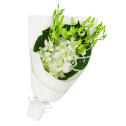 White Orchid Bunch - Standard