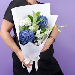 Blue Angel - Standard