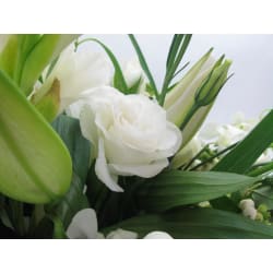 Eternal Peace Casket Cover - Standard