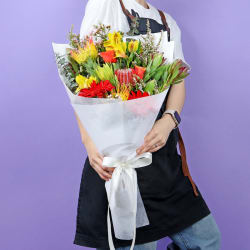 Native Sunrise - Standard