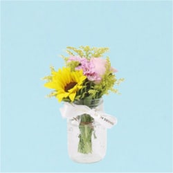 Pocket Full Of Pink Sunshine  - Standard