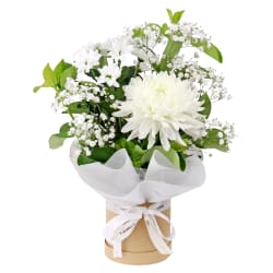 Thinking Of You Hat Box - Standard