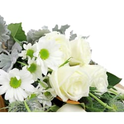 Open Your Heart - Deluxe