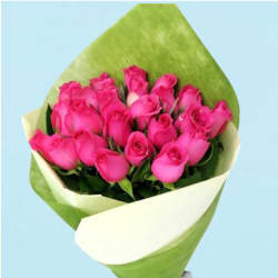 Pink Roses  - 24 Roses (Two Dozen)