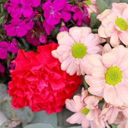 Sweet Petite Bunch - Standard