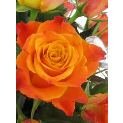 Roses & Silver Chocolate Heart Box - Premium