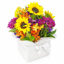 Radiant Bright Flower Box - Standard