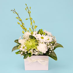 Florist Choice White Mini Box  - Deluxe
