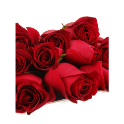 Valentine’s 12 Red Rose Box - 12 Roses (One Dozen)