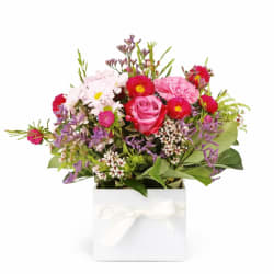 Florist Choice Pastels Box - Standard