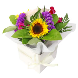 Furry Companion's Florist Pick - Standard