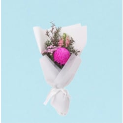 Little Pink Fantasy  - Standard