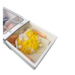 Preserved Yellow Posy  - Standard