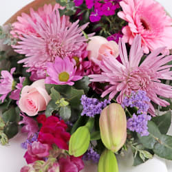 Vintage Affection - Standard