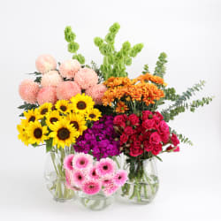 Florist Choice Bouquet - Premium