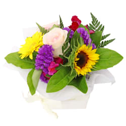 Furry Companion's Florist Pick - Standard