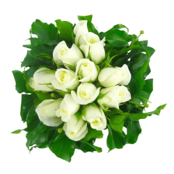 White Rose Vase - Standard