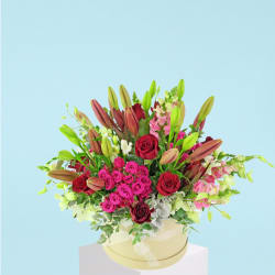 Best In Bloom  - Standard