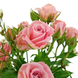 So Sweet Mason Jar Arrangement  - Standard