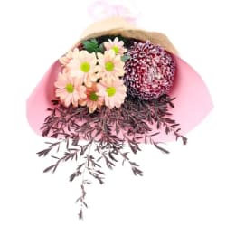 Little Peachy Fantasy - Standard