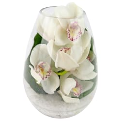 Beauty Beheld Cymbidium Orchid Vase - Standard