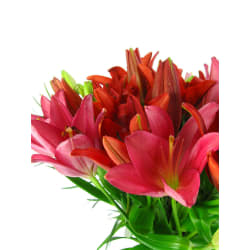 Lilies In A Vase - Premium