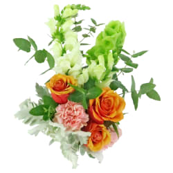 Double Take - Standard