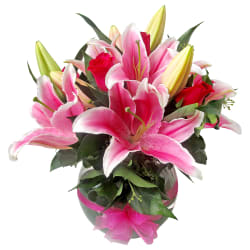 Starstruck Fish Bowl Arrangement - Standard