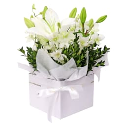 White Making Magic Posy Box - Premium