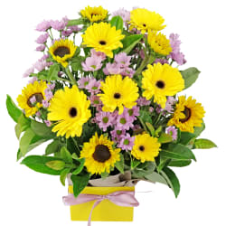 Brighter Days Flower Box - Standard