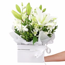 Making Magic - White  - Premium