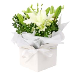 White Making Magic Posy Box - Deluxe