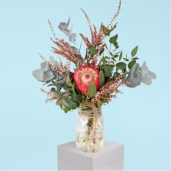 Pretty Protea Jar  - Standard
