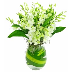 Marvel At Me - Standard