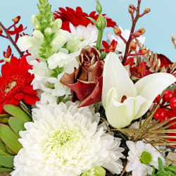 Florist Choice Christmas Box  - Deluxe